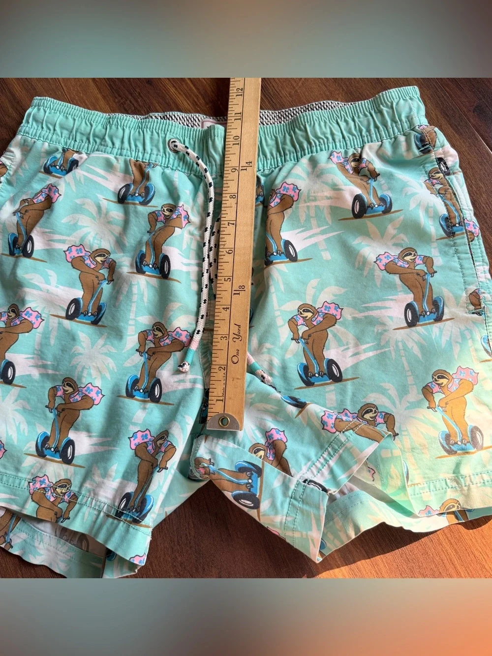 Party Pants Sloth Segway Men’s Unlined Shorts Small